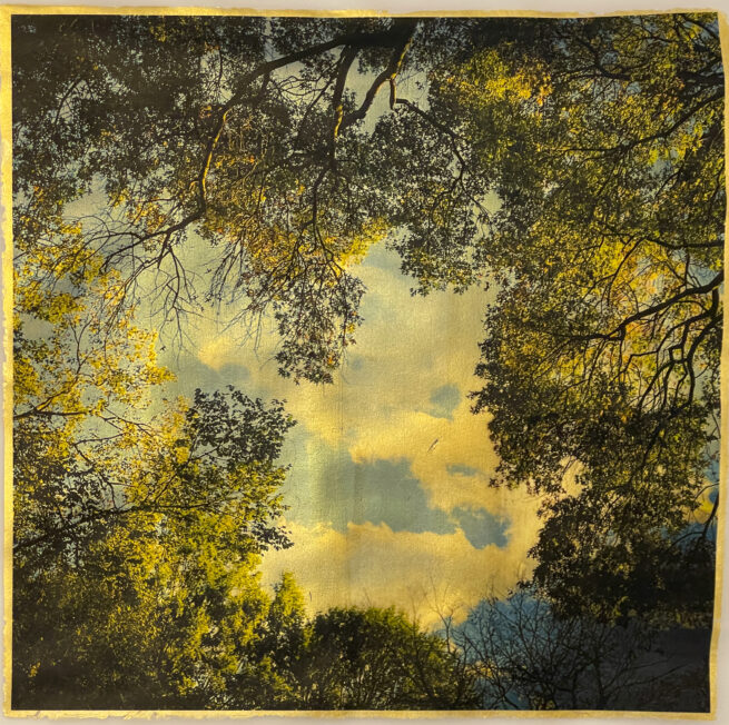 A view of the sky through the trees with clouds